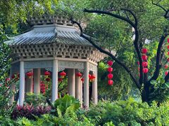 -荔湾湖公园