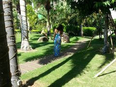 -三亚亚龙湾凯莱仙人掌度假酒店