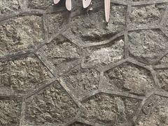 -余姚市灵岩禅寺