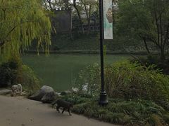 -扬州大运河文化旅游度假区·盆景园