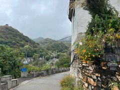 -水峪民俗村