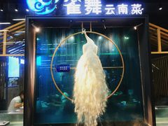 -雀舞云南菜(乐客城店)