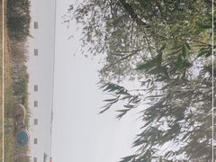 -包头南海湿地景区