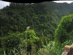 鼎湖山-鼎湖山风景区