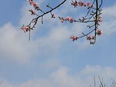 -石湖景区