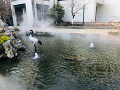 -广富林宰相府酒店·水云间