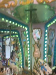 -卡通尼·Safari非洲探索乐园·生日会(金桥国际商业广场店)