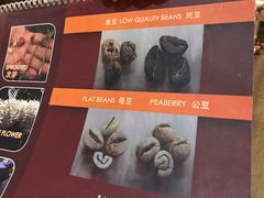 -巴厘岛黄金金兔咖啡工厂