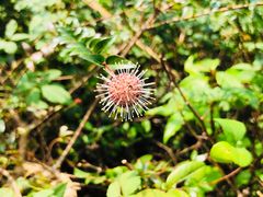 -九里河湿地公园
