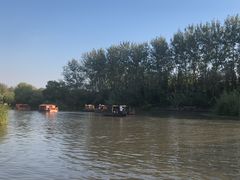 -溱湖国家湿地公园