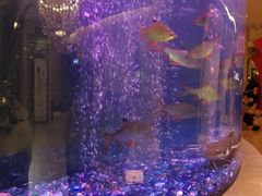 -碧涛阁水世界酒店(万家丽路店)