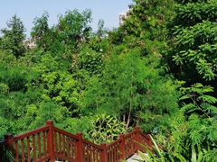 -金鸡岭桥头公园