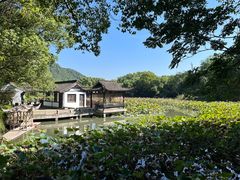 -兰亭风景区