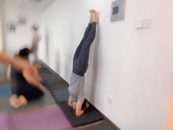 -酉嘉瑜伽YO+YOGA