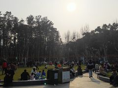 -霄汉羊排(万松园一店)