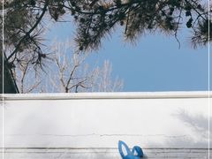 -小意思咖啡店(草桥店)