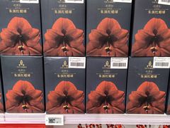 -盒马X会员店(王府井奥莱UP TOWN店)