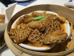 -点都德·毕德寮