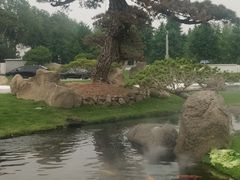 -罗红摄影艺术馆