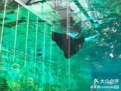 -阿提斯皇家动物园