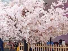 -Mr·Kuma酷么先生雪之乐园