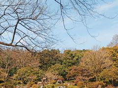-杭州植物园