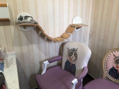 -宠爱国际动物医院·疑难骨科·心肾内科·皮肤科(太阳宫店)