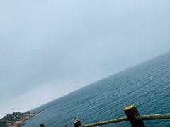 -广东惠东海龟国家级自然保护区
