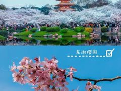-东湖生态旅游风景区