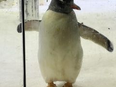 -悉尼海洋生物水族馆