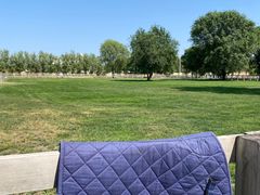 -北京群众马术培训基地