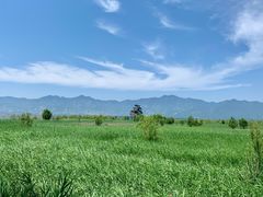 -野鸭湖国家湿地公园