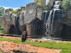 -海南热带野生动植物园