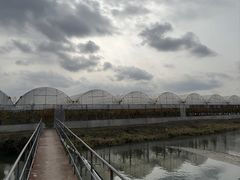 -马陆小张葡萄园农家乐