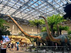 -国家自然博物馆