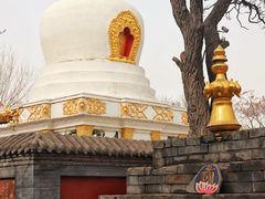 -护国法轮寺