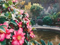 -剑河仰阿莎温泉小镇