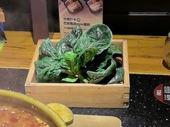 -巴奴毛肚火锅(广益哥伦布店)