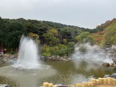 -北京西山国家森林公园