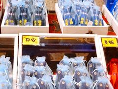 -猫咪博物馆(顶澳仔猫街店)