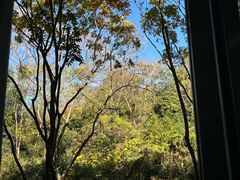 -浙江农林大学(东湖校区)