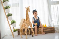 点击看大图 -DORA kids 朵拉儿童摄影花园店