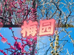 -静安雕塑公园