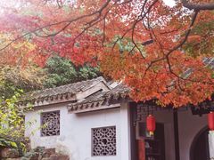 -惠山古镇·寄畅园