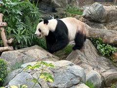-香港海洋公园