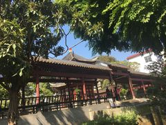 -碧江金楼