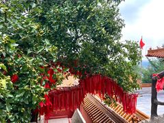 -沂蒙山旅游区云蒙景区(蒙山国家森林公园)