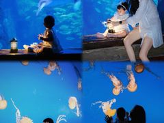 -太平洋海底世界