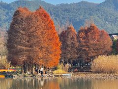 -晓琦农家菜馆·地道农家菜