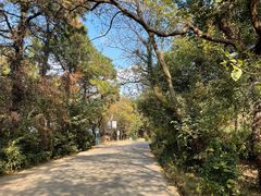 -虞山风景区